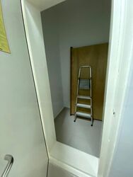 Palm Oasis (D15), Apartment #483577031